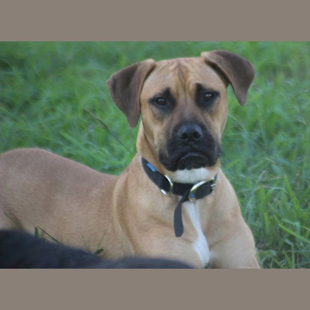 Photo of Lexi