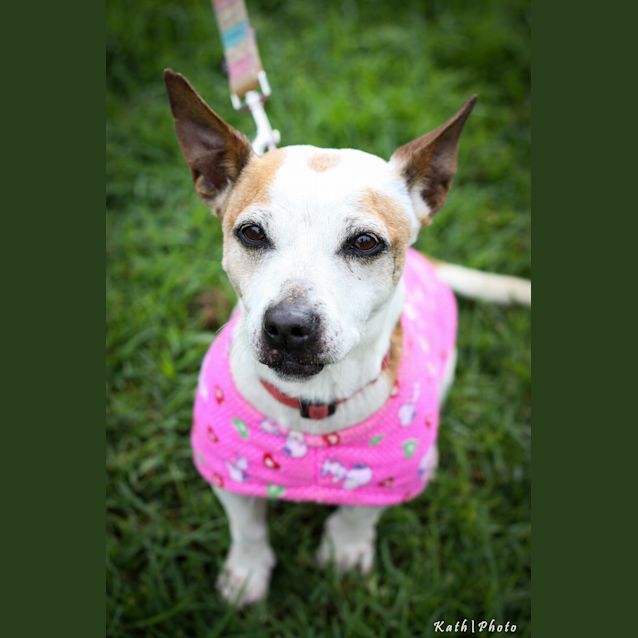 Photo of Honey/Penny