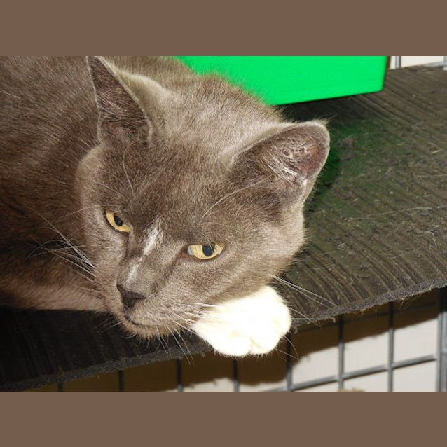 Photo of Boots