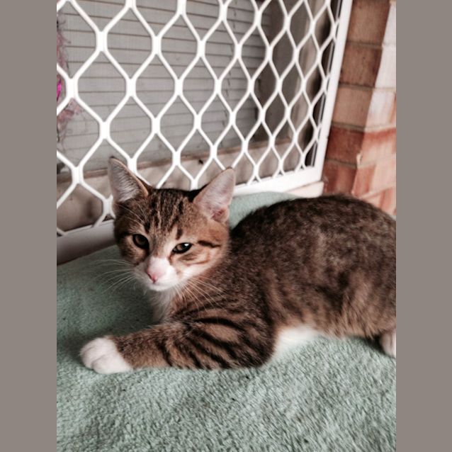 Photo of Sookie