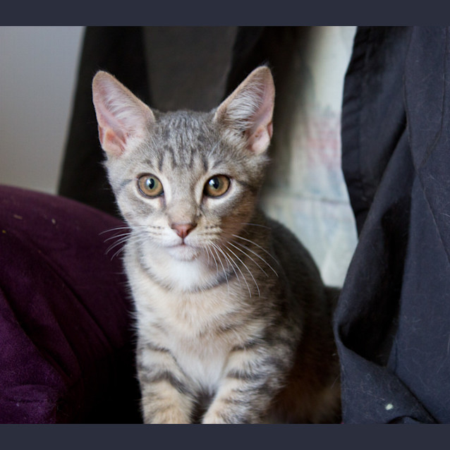 Photo of Ralph 