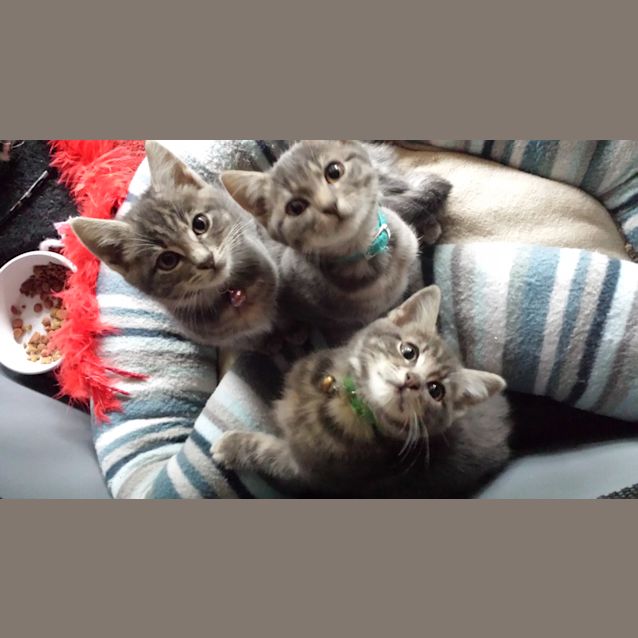 Photo of Bucket (Kid Friendly)