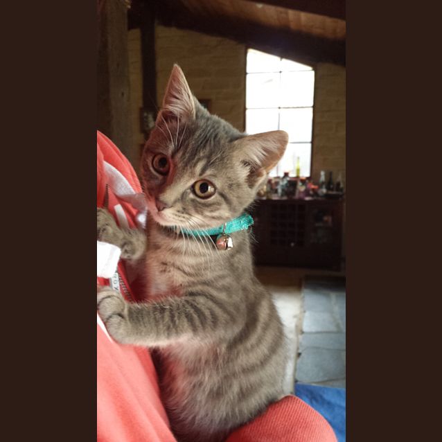 Photo of Bucket (Kid Friendly)