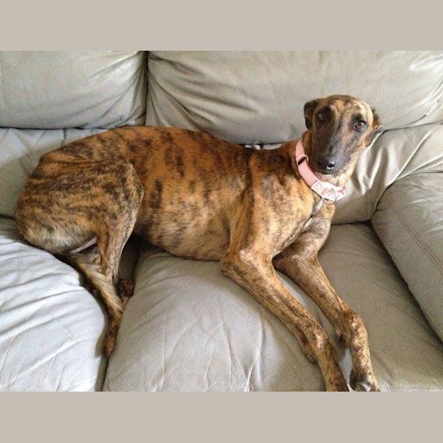 Photo of Holly