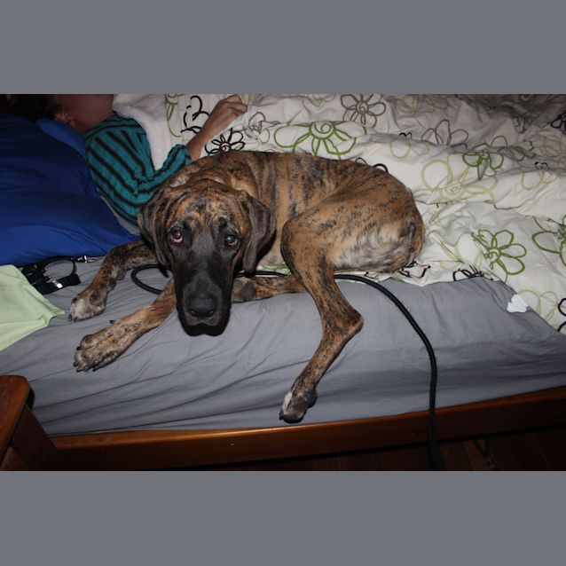 Photo of Chloe