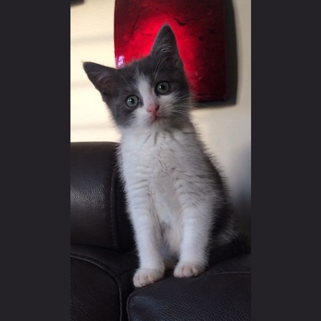Photo of Leroy