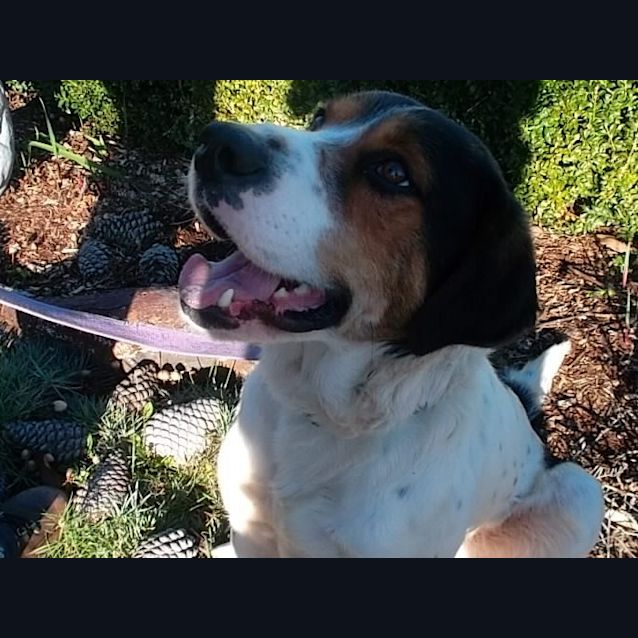 Photo of Jack
