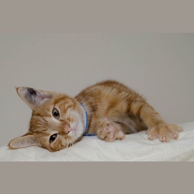 Photo of Bilbo