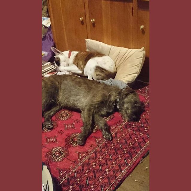 Photo of Wonderful "Tess"