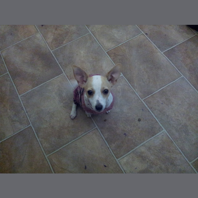 Photo of Chloe
