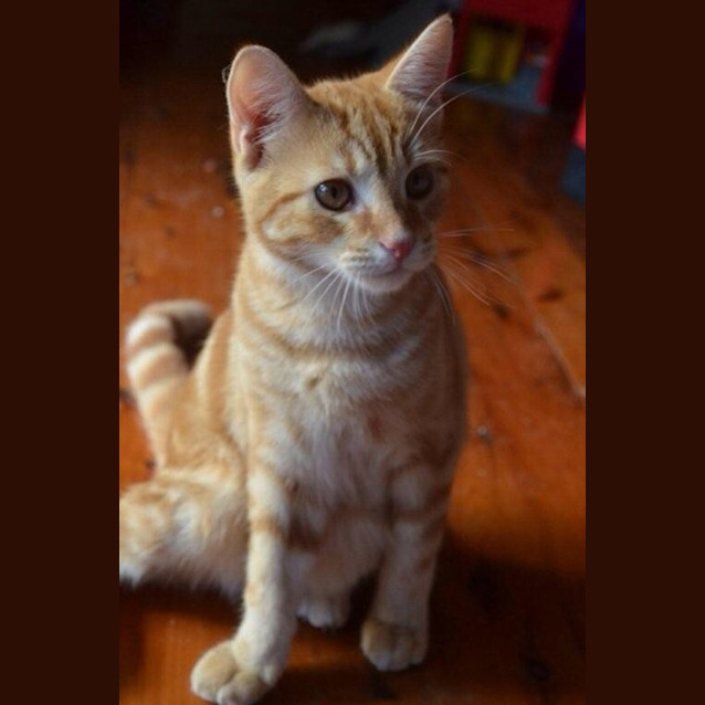 Photo of Max