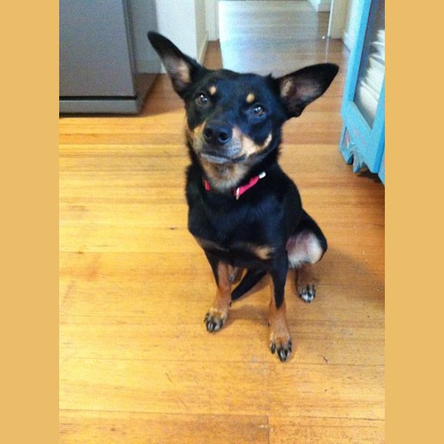 Photo of Micro