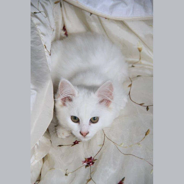 Photo of Betsy