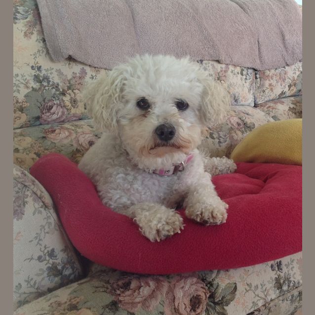 Photo of Milly