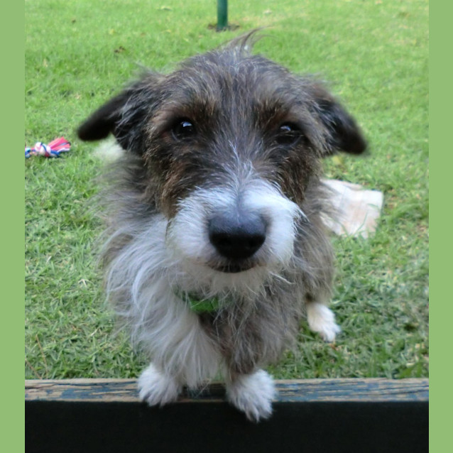 Photo of Waldo *On Trial In His New Home*