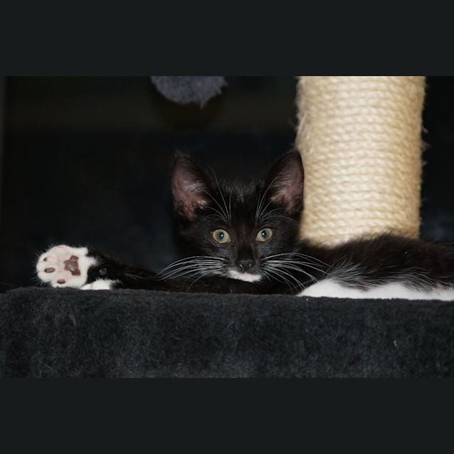 Photo of Penelope