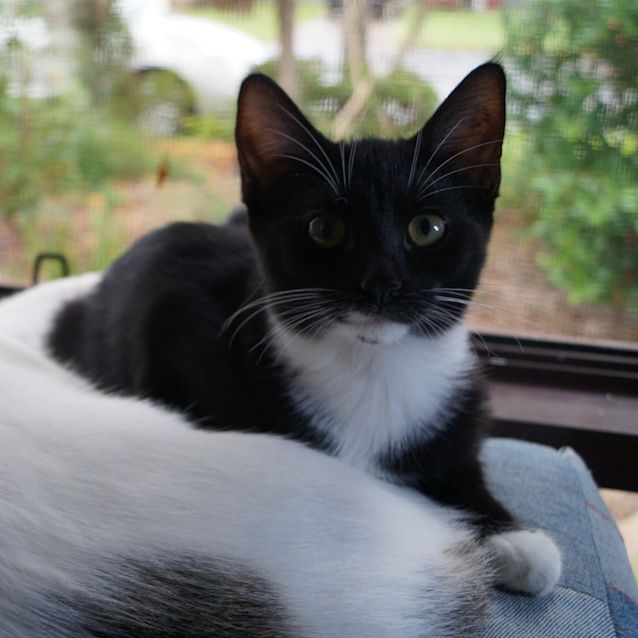 Photo of Penelope