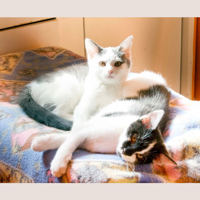 Photo of Delila & Evie