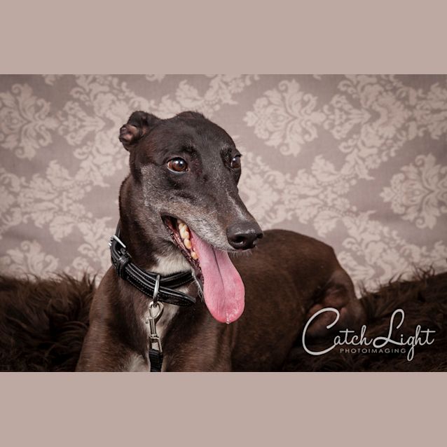 Photo of Maisy