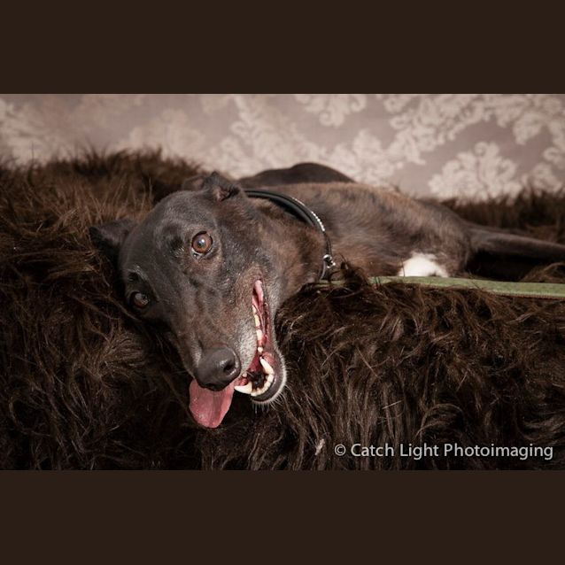 Photo of Jill