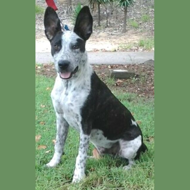 Photo of 091 3371 Spot