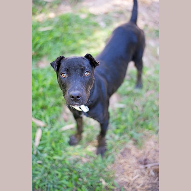 Photo of Cleo