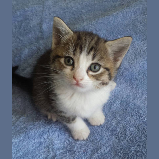 Photo of Lilly