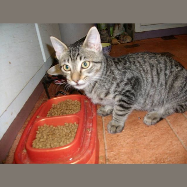 Photo of Bentley