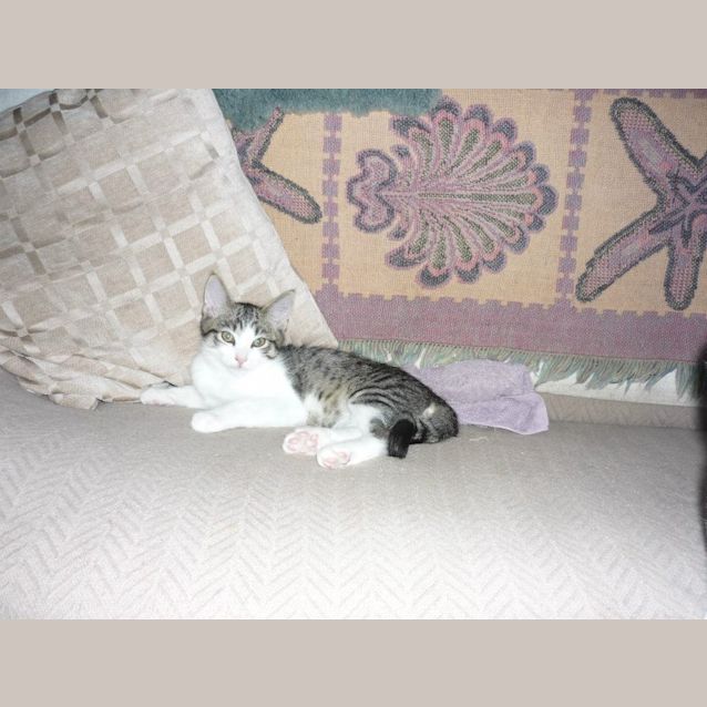 Photo of Cheeky