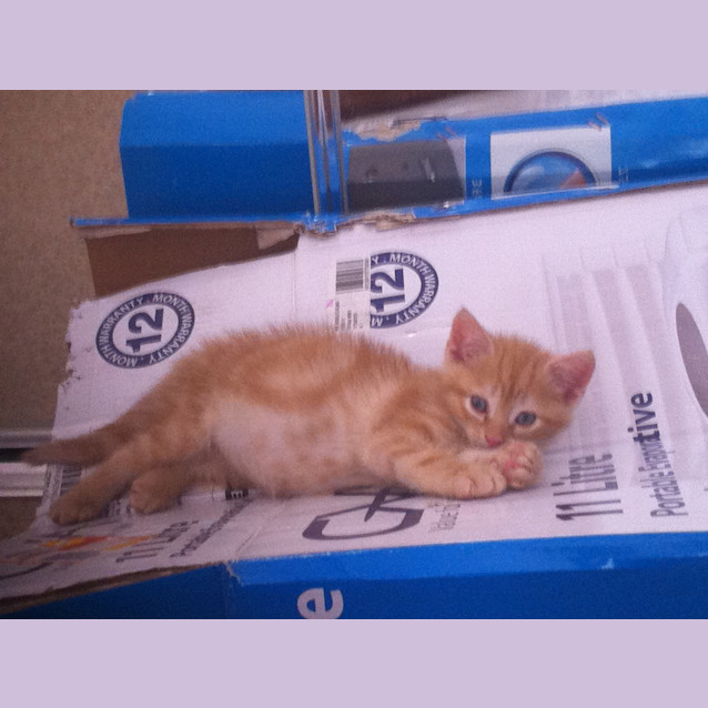 Photo of Big Red