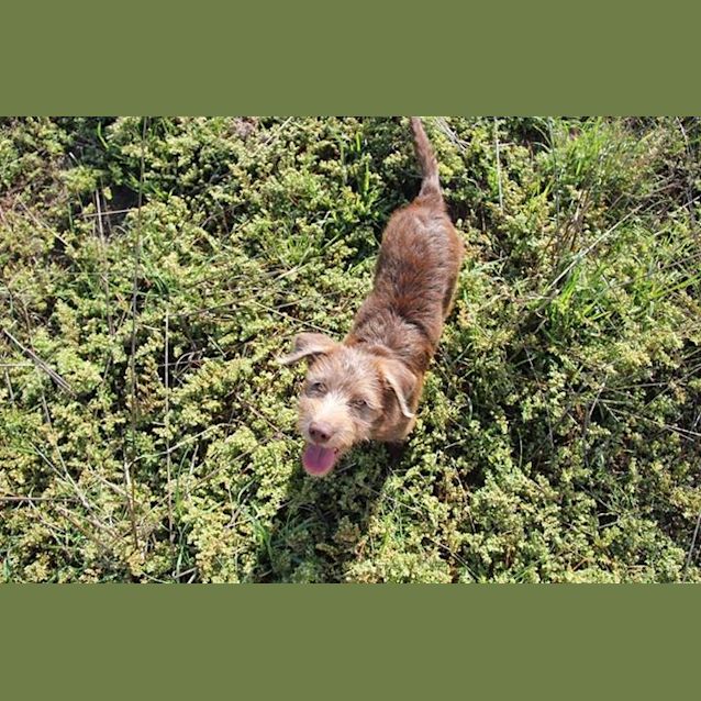 Photo of Elsie No More Enquiries