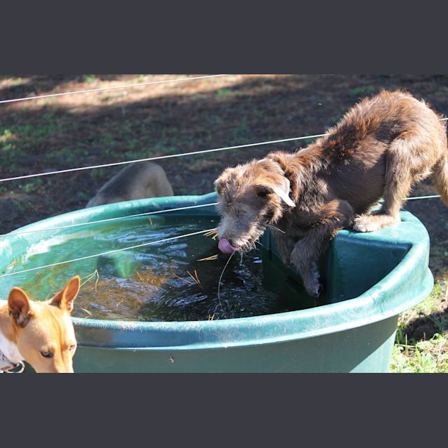 Photo of Elsie No More Enquiries