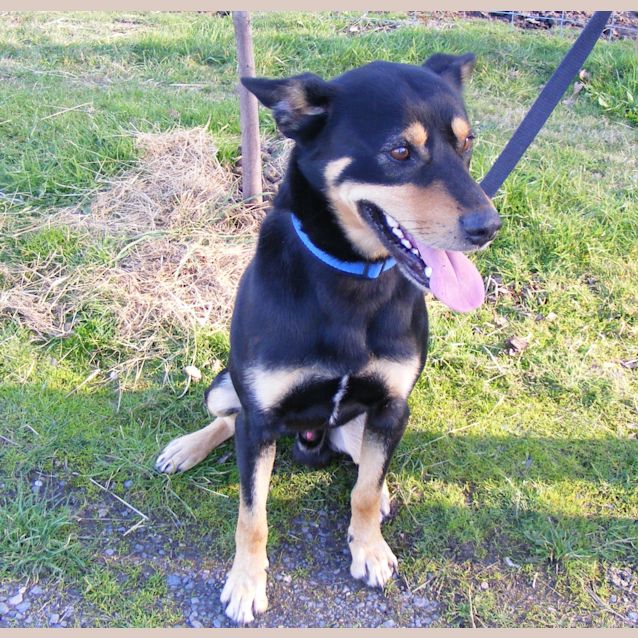 Photo of Cooper