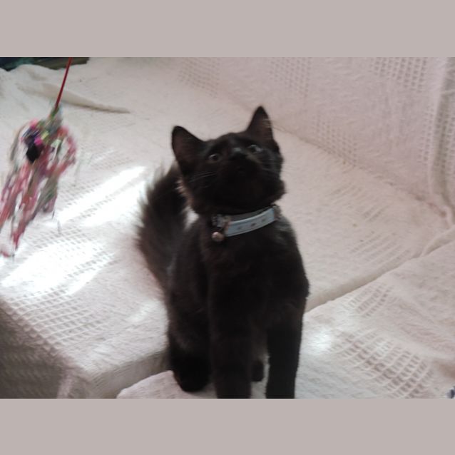 Photo of Cinders