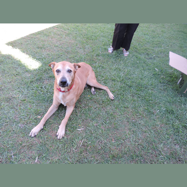 Photo of Harley