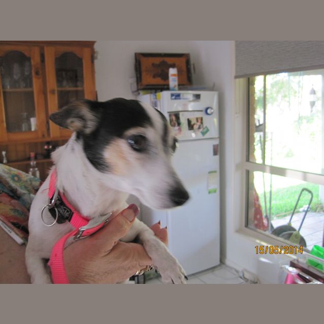 Photo of Tsu Tsu (Sue Sue)