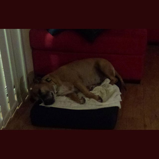 Photo of Missy Lou