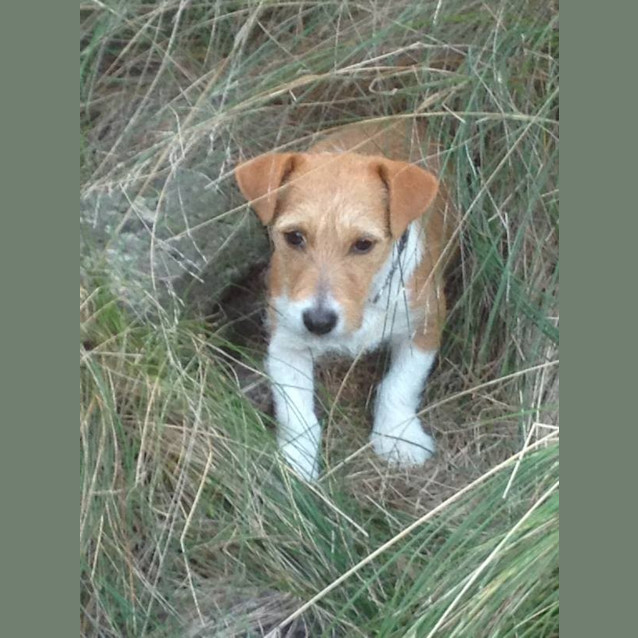 Photo of Little Gemma