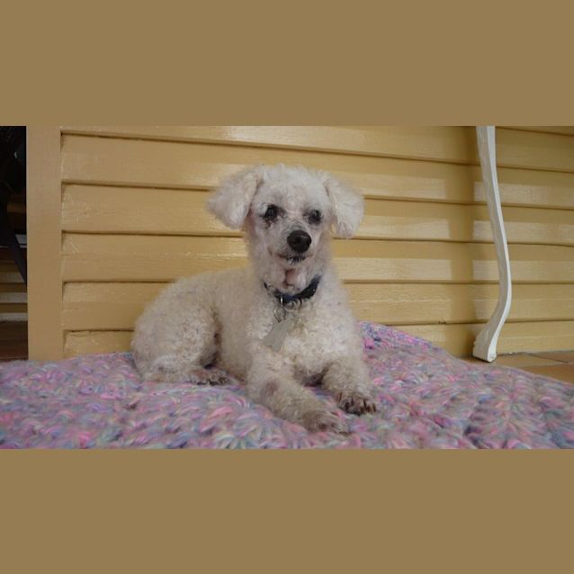 Photo of Winnie