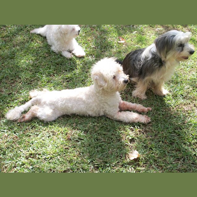 Photo of Brando And Asha (On Trial 14/9/14)