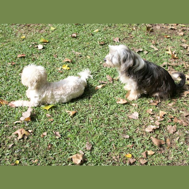 Photo of Brando And Asha (On Trial 14/9/14)