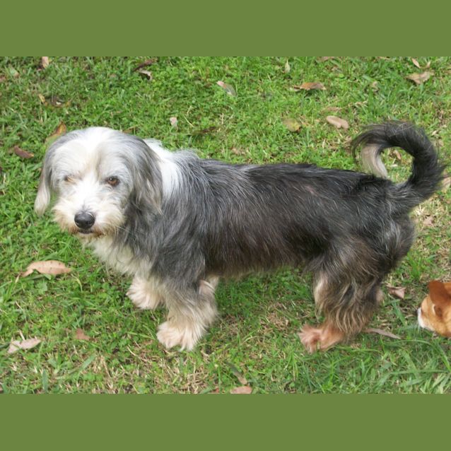 Photo of Brando And Asha (On Trial 14/9/14)