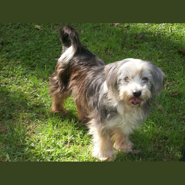 Photo of Brando And Asha (On Trial 14/9/14)