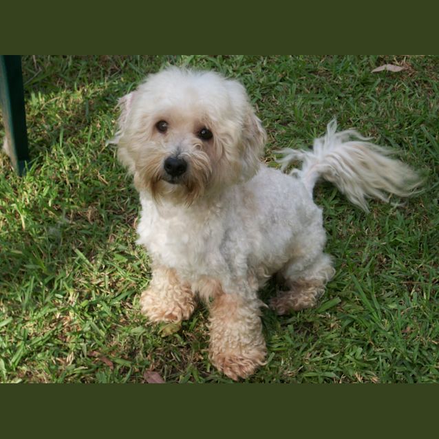Photo of Brando And Asha (On Trial 14/9/14)