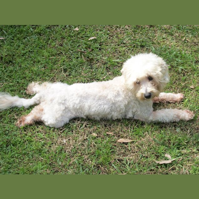 Photo of Brando And Asha (On Trial 14/9/14)