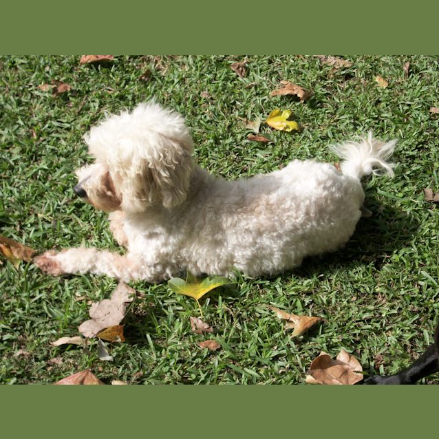 Photo of Brando And Asha (On Trial 14/9/14)