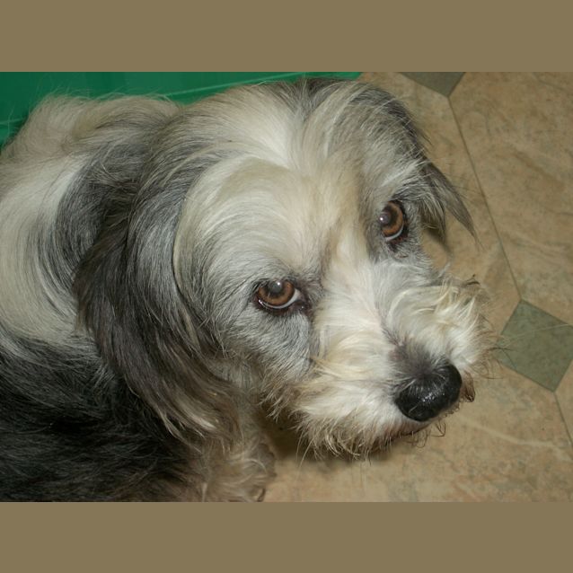 Photo of Brando And Asha (On Trial 14/9/14)
