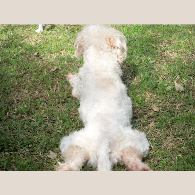 Photo of Brando And Asha (On Trial 14/9/14)