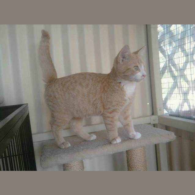 Photo of Benson (C671)