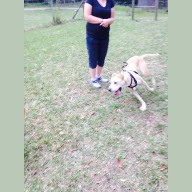 Photo of Cash